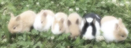 intimate friends intimate friends